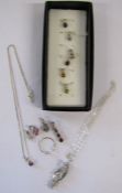 Silver interchangeable pendant necklace and other jewellery