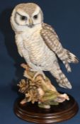 Country Artists Hawk Owl with Pine Cones 02734