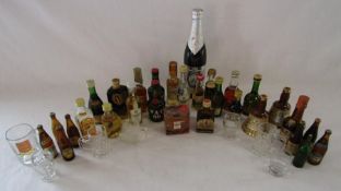 Collection of miniatures includes Remy Martin, VAT 69, Bell's etc