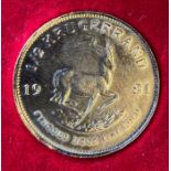 1981 half Krugerrand gold coin in a red velvet case