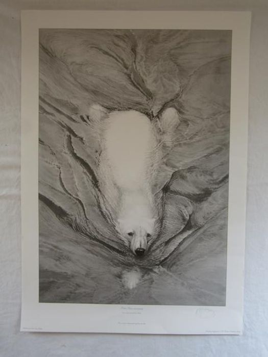 Gary Hodges print 'Polar Bear Swimming' pencil signed - approx. 68.5cm x 48cm - Image 2 of 4