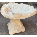 Shell bird bath