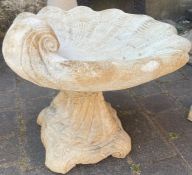 Shell bird bath