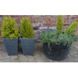 Large half barrel planter & 2 slate effect plastic planters with shrubs