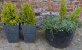 Large half barrel planter & 2 slate effect plastic planters with shrubs