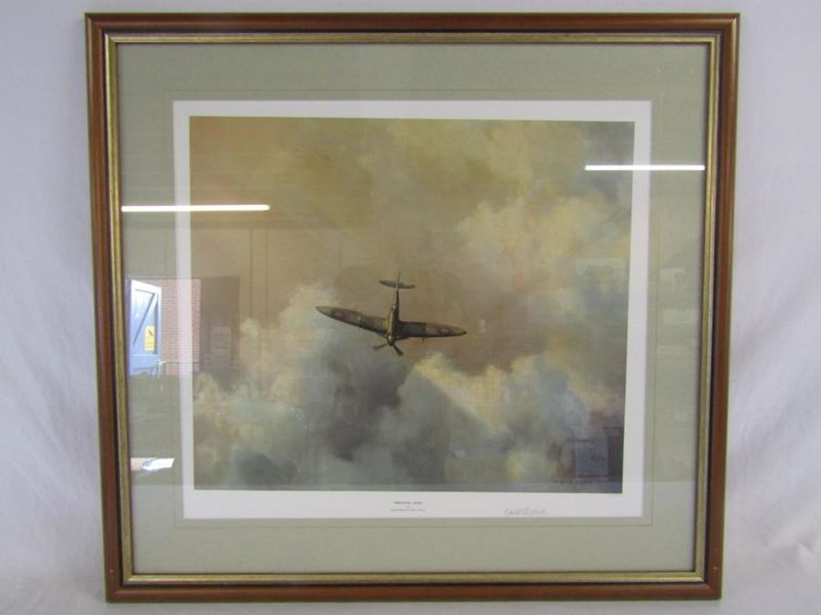 David Shepherd 'Imortal Hero' limited edition framed print 216/9590 - approx. 82cm x 76cm - Image 5 of 7