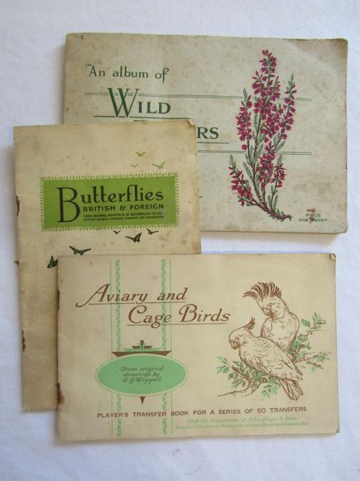 Large collection of cigarette cards includes transfers, military and RAF with itemised sheet, - Image 9 of 9