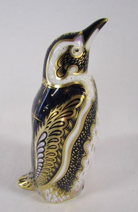 Royal Crown Derby paperweight Endangered Species Galapagos Penguin - limited edition 973/1000 - Image 5 of 6