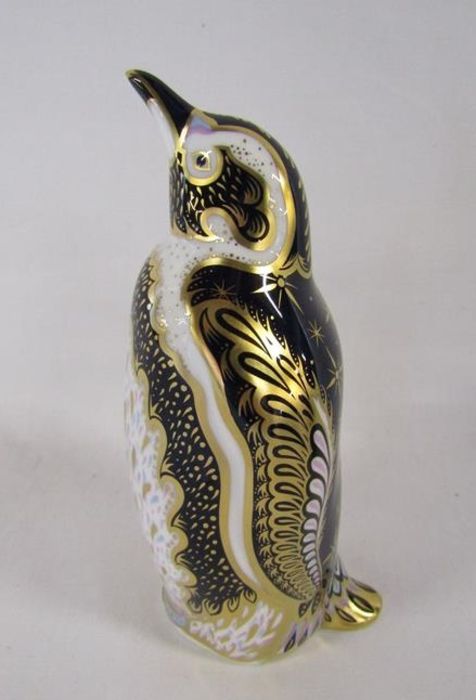 Royal Crown Derby paperweight Endangered Species Galapagos Penguin - limited edition 973/1000 - Image 3 of 6