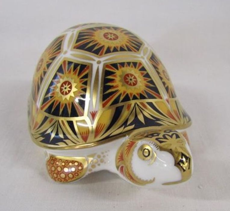 Royal Crown Derby paperweight Endangered Species Madagascan Tortoise - limited edition 973/1000 - Image 5 of 6