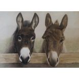 Framed coloured pencil portrait of two donkeys by Pauline Hurst '96, 47cm x 38cm