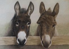 Framed coloured pencil portrait of two donkeys by Pauline Hurst '96, 47cm x 38cm