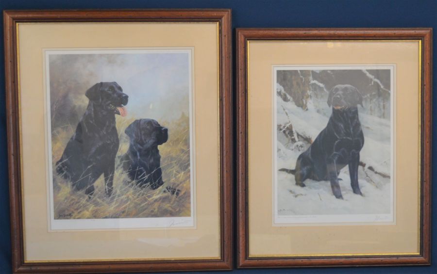 Two framed limited edition John Trickett prints of labrador dogs in gilt frames