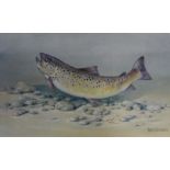 Donna Crawshaw limited edition signed print "Brown Trout" 34/750 66cm x 51cm