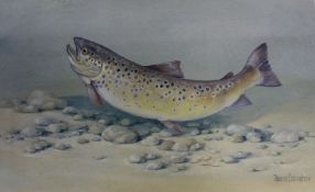 Donna Crawshaw limited edition signed print "Brown Trout" 34/750 66cm x 51cm