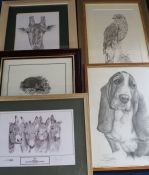 Selection of framed animal prints including "Chums" after Debra Jones