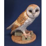 Royal Doulton Barn Owl from the Birds of Prey Collection - with box