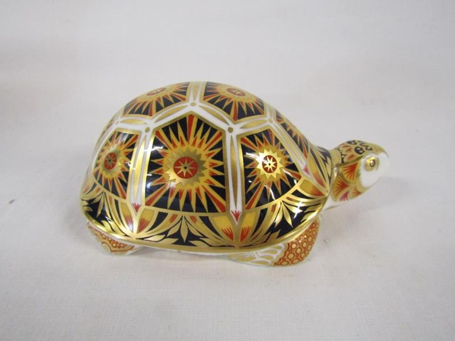 Royal Crown Derby paperweight Endangered Species Madagascan Tortoise - limited edition 973/1000 - Image 4 of 6