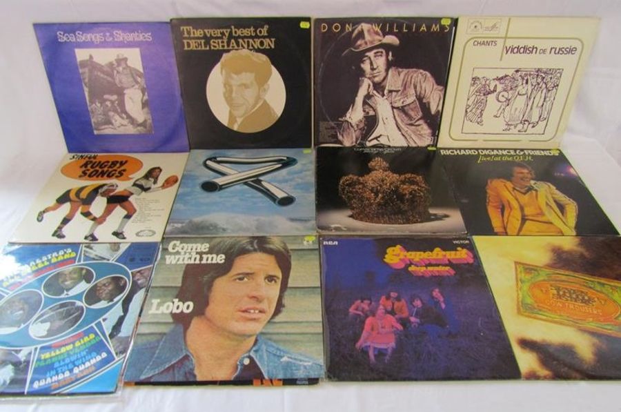 Collection of vinyl LP records - Melanie, Marilyn Monroe, UB40, Don Williams, Van Morrison, Neil - Image 4 of 13