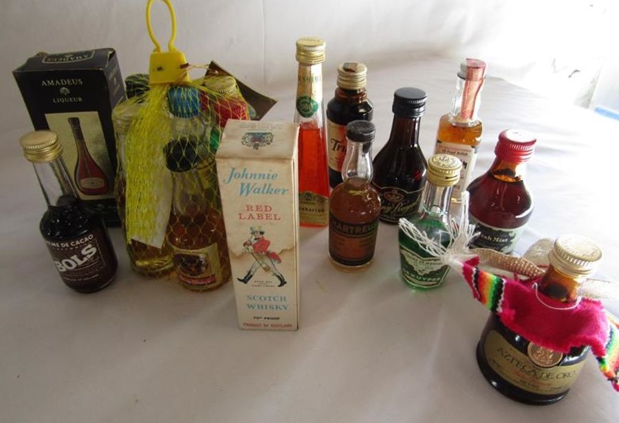 Collection of alcoholic miniatures includes Ballantines, Bols, Ramboise, Jack Daniels, Honeymoon - Image 13 of 13