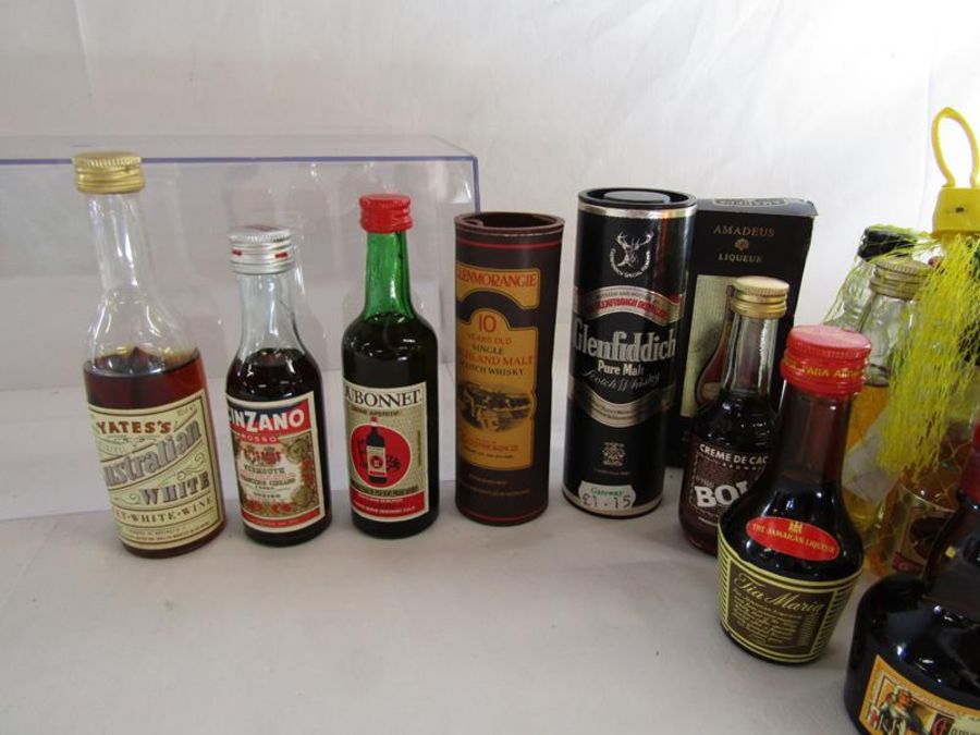 Collection of alcoholic miniatures includes Ballantines, Bols, Ramboise, Jack Daniels, Honeymoon - Image 11 of 13