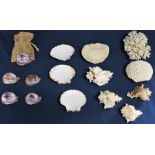 Selection of shells and coral