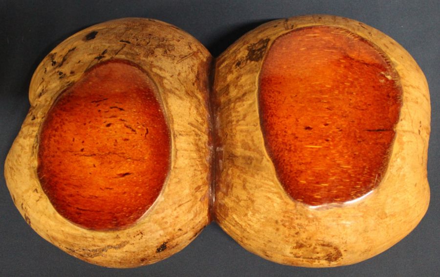 Split Coco de mer / gourd carved and polished to form two bowls - Image 2 of 2