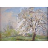 'Cherry Blossom' oil on board reframed with label verso attributing to J H Snell 1930 - believed