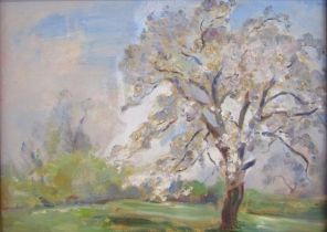'Cherry Blossom' oil on board reframed with label verso attributing to J H Snell 1930 - believed