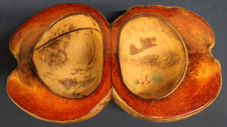 Split Coco de mer / gourd carved and polished to form two bowls