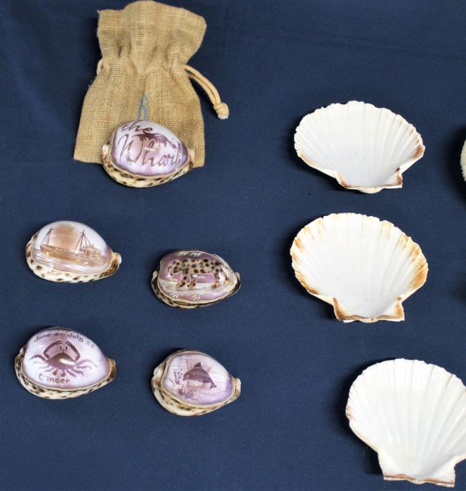 Selection of shells and coral - Image 3 of 3