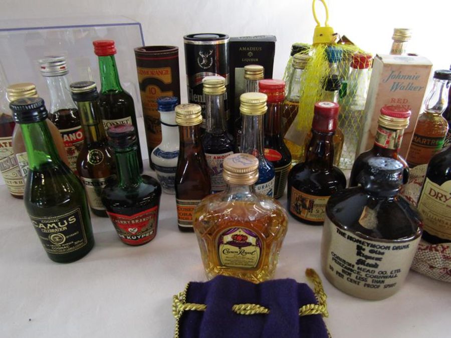 Collection of alcoholic miniatures includes Ballantines, Bols, Ramboise, Jack Daniels, Honeymoon - Image 9 of 13
