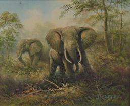 Framed oil on board depicting elephants by J Carley. Frame size 75cm by 65cm