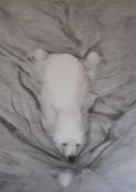 Gary Hodges print 'Polar Bear Swimming' pencil signed - approx. 68.5cm x 48cm