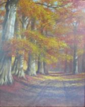 Framed oil on canvas of autumnal wood scene 'Beech Woods, Ashridge Park, Gaddedton' to rear signed