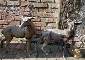 Pair of cast alloy stag garden ornaments (one with broken antler)  Ht approx. 83cm L 54cm