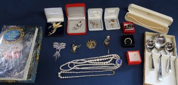 Selection of costume jewellery including animal brooches (some in Ciro boxes), silver plated