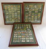 3 double sided framed collectors cards - Horniman's Tea Pets, Brooke Bond Tea African Wildlife and