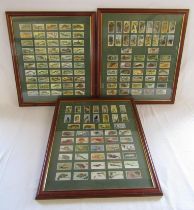 3 double sided framed collectors cards - Horniman's Tea Pets, Brooke Bond Tea African Wildlife and