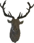 Large pot wall mounted stags head - one antler repaired