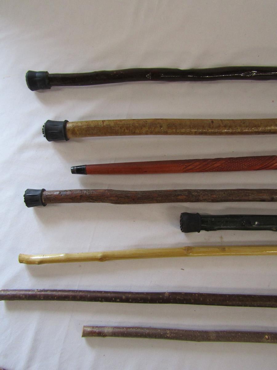 Collection of walking sticks includes Harrods, horn handle, gnarly wood handle etc - Image 4 of 6