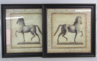 2 large framed Italian horse prints 82cm x 82cm