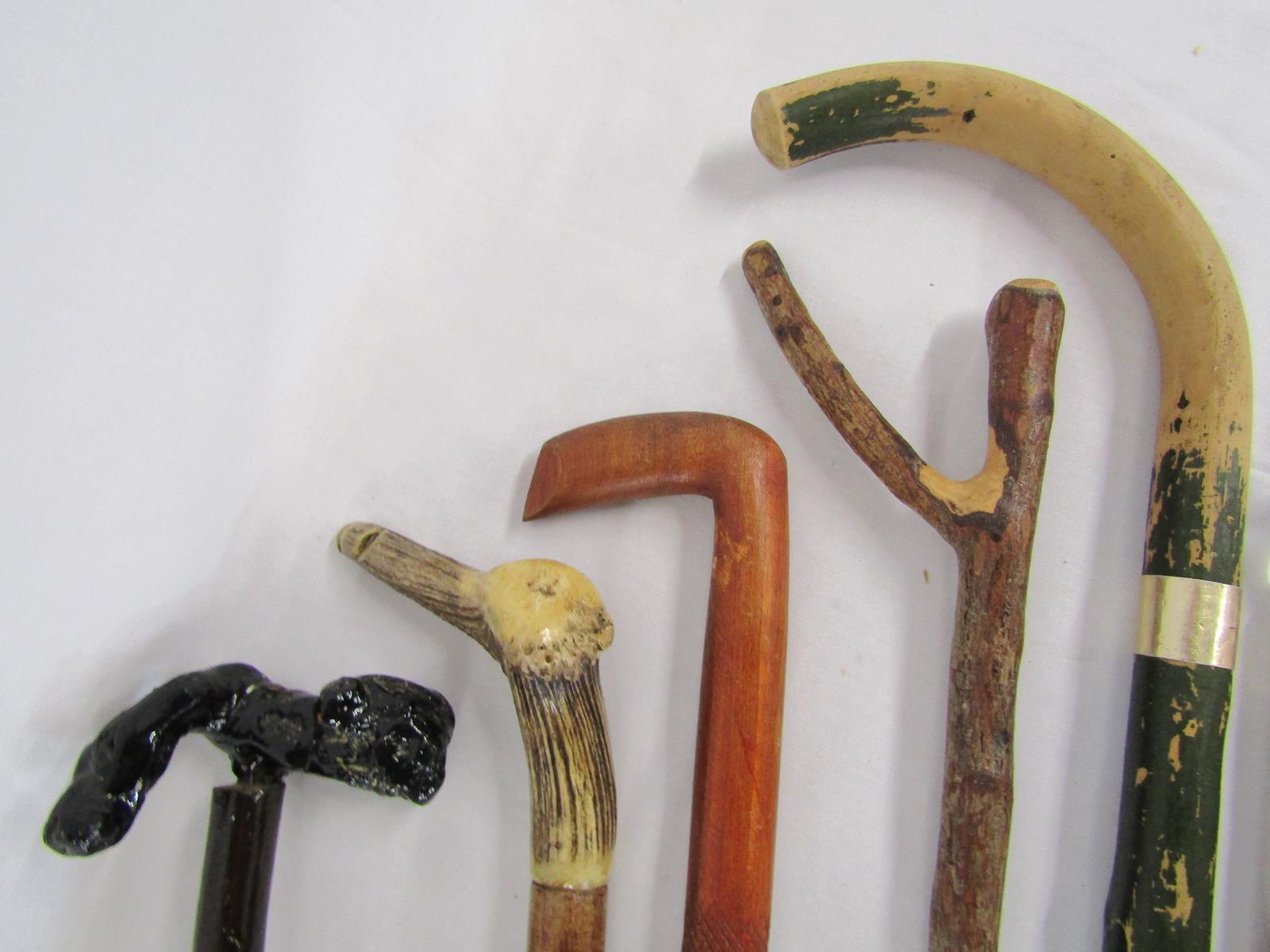 Collection of walking sticks includes Harrods, horn handle, gnarly wood handle etc - Image 3 of 6