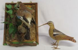 Taxidermy jay and a model of a wading bird