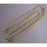 Double String of Knotted Pearls with 14ct (kt) Clasp