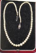 Nagoya Pearl Necklace