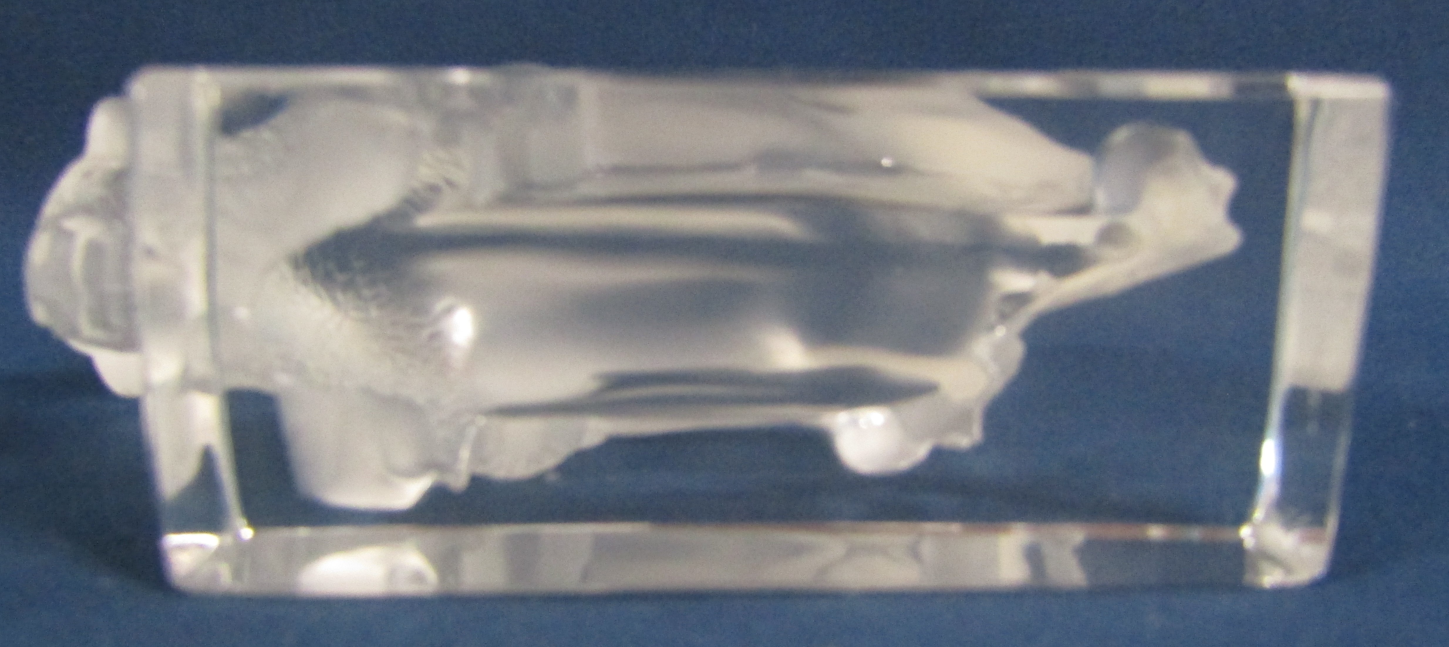 Lalique Buffalo Paperweight - Image 6 of 7