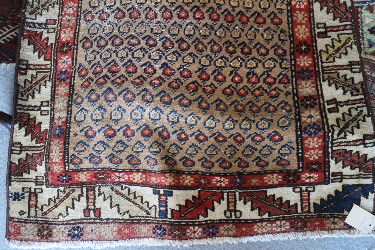 A tribal runner with all-over boteh design on a camel ground and two geometric borders, in shades of - Image 2 of 5