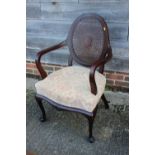 An early 20th century mahogany showframe elbow chair with cane back panel