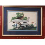 A Chinese watercolour on pith paper, pheasants, 6 1/2" x 10", in red and gilt decorated frame